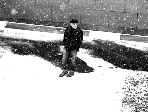 photography,Black & White ,Vienna, beautiful pig, ,River Danube, wildlife,documentary